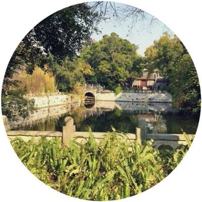 班巴披萨大王2游戏下载